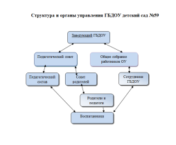 Структура и органы управления в ГБДОУ №59